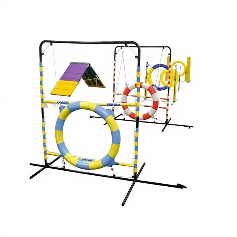 FCI Dog Agility Training Equipment for Dogs Durable Customized Plastic Obstacle Jump Hoop Tire
FCI Dog Agility Training Equipment for Dogs Durable Customized Plastic Obstacle Jump Hoop Tire