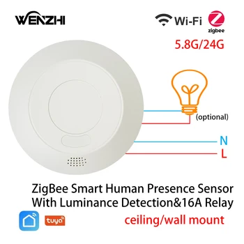 ZigBee 조명 스위치용 MmWave 레이더 인체 존재 모션 센서, 조도 감지, 투야 스마트 라이프 홈, 24G, 110 V, 220V