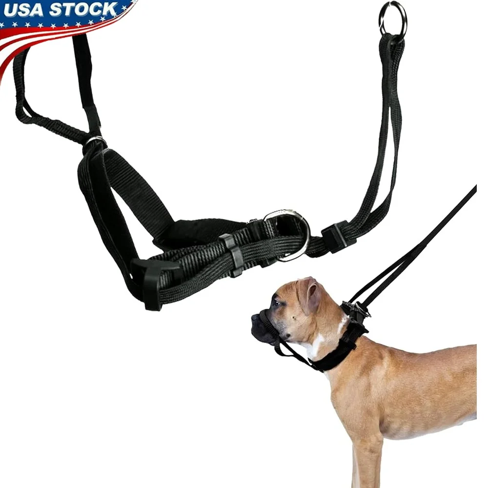 Medium Dog Head Halter No Pull Harness Comfortable Muzzle Strap Padded Nylon Training Control Easy Wear Durable Pet Supplies 
Medium Dog Head Halter No Pull Harness Comfortable Muzzle Strap Padded Nylon Training Control Easy Wear Durable Pet Supplies
