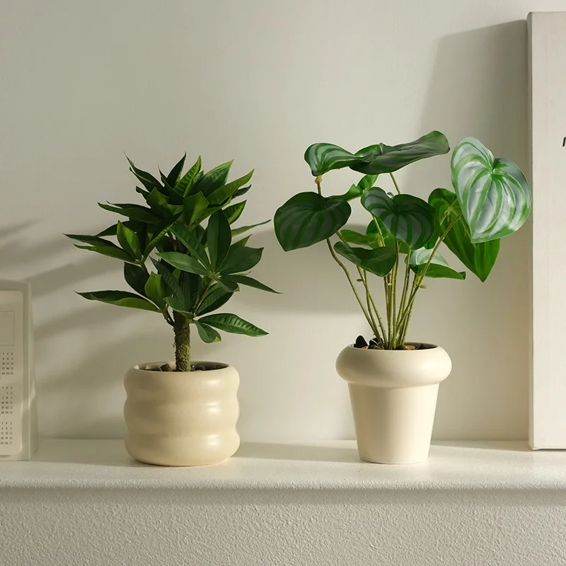 Decorative Artificial Potted Plant Small Size, Nordic Style Faux Green Bonsai for Indoor Desk Decor
Decorative Artificial Potted Plant Small Size, Nordic Style Faux Green Bonsai for Indoor Desk Decor