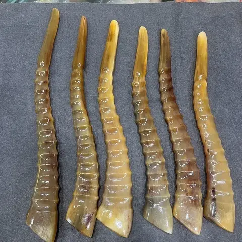 Natural Sheep Horn Outer Mongolian Sheep Horn Solid Pointed Handle Piece Premium High-end Gift Collection Ornament Cultural Play