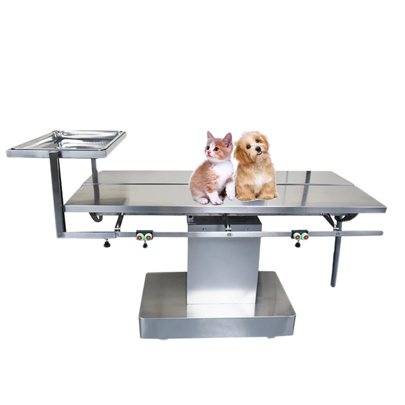 EUR VET Hospital Medical Veterinary Clinic Equipment Animal Surgical Treatment Table For Pet Price
EUR VET Hospital Medical Veterinary Clinic Equipment Animal Surgical Treatment Table For Pet Price