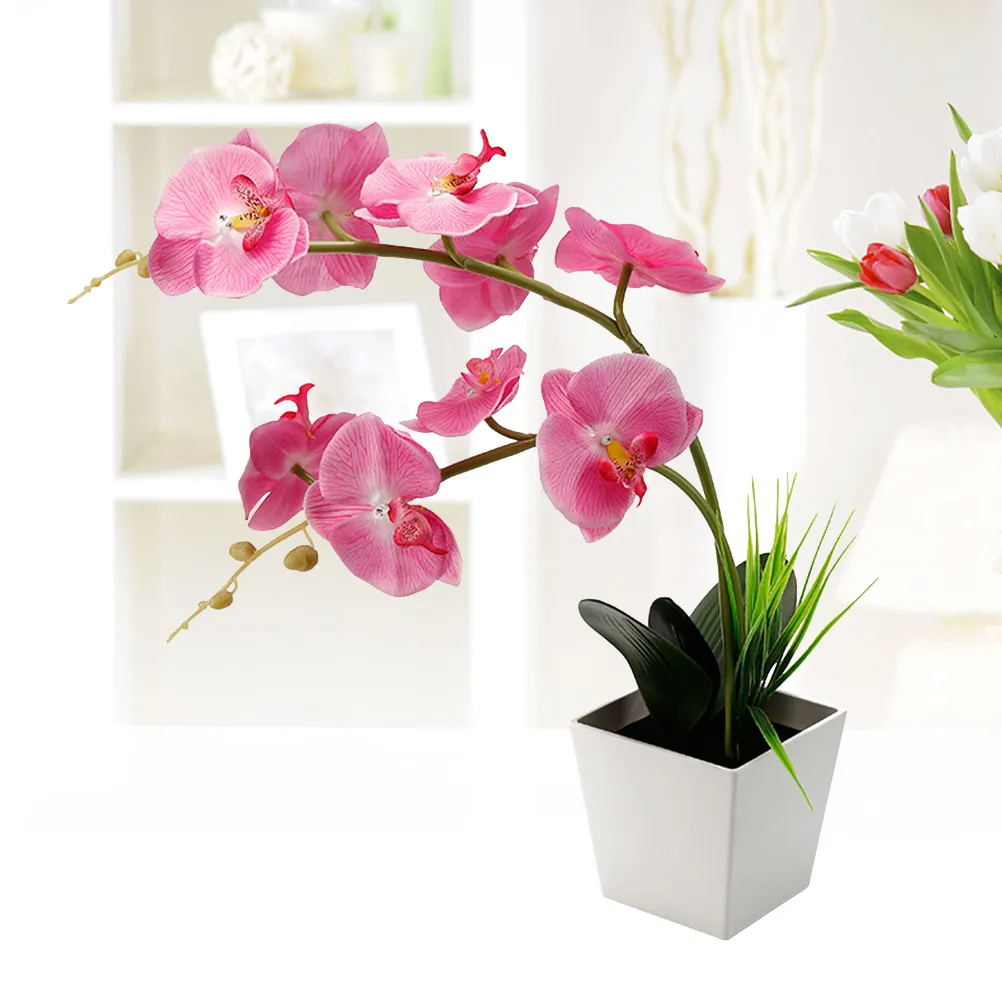 Orchid Flower Light Lamp Battery Operated Artificial Orchid Decor with Realistic Bloom Soft Glow Flexible Wire Stem for Living
Orchid Flower Light Lamp Battery Operated Artificial Orchid Decor with Realistic Bloom Soft Glow Flexible Wire Stem for Living