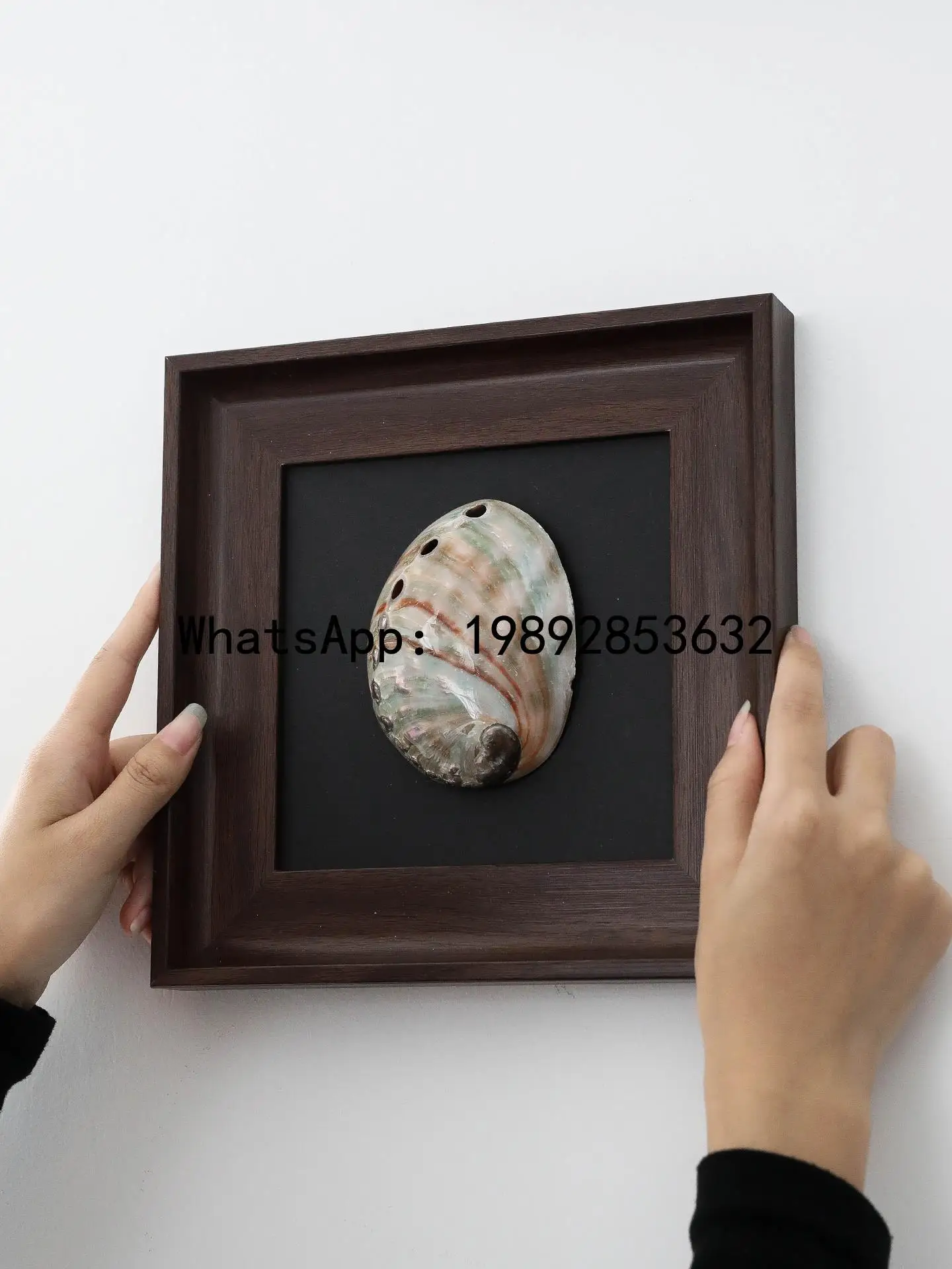 Natural Conch Decorative Painting Photo Frame Pendant Background Wall Decorative Accessories Shell Ornaments Picture Frame
Natural Conch Decorative Painting Photo Frame Pendant Background Wall Decorative Accessories Shell Ornaments Picture Frame