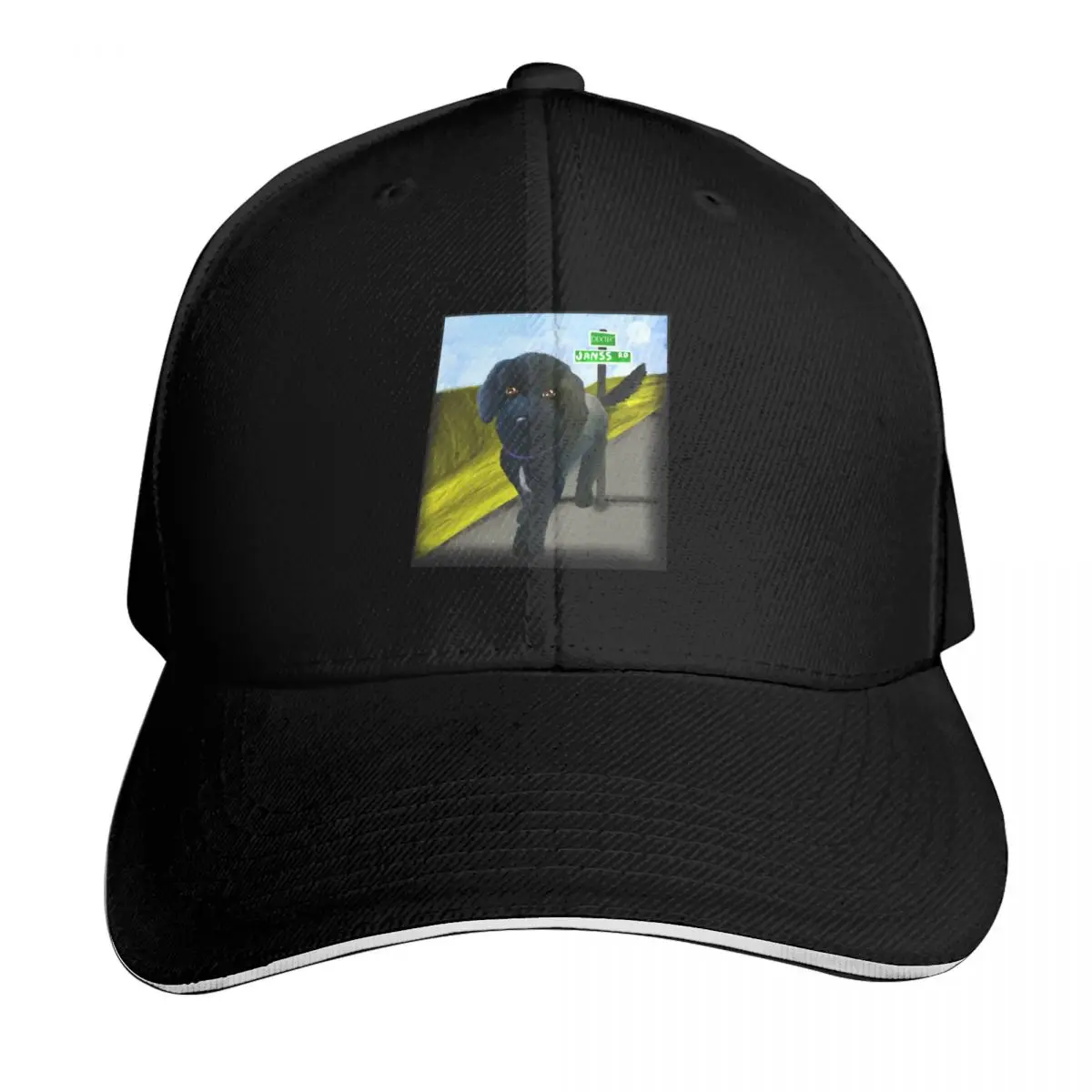Dog Baseball Cap funny hat summer hat custom caps New In Hat Female Men's
Dog Baseball Cap funny hat summer hat custom caps New In Hat Female Men's
