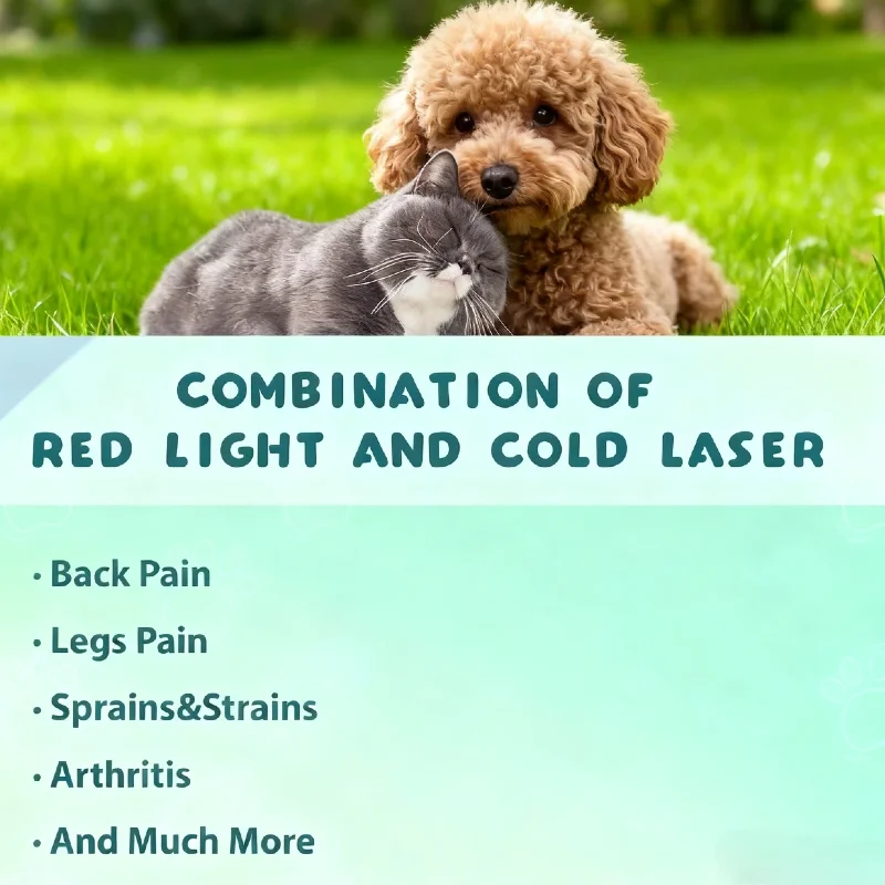 Portable 14x650nm+3x808nm Home Laser Therapy - Handheld LLLT Device for Knee & Arm Arthritis Pain Relief
Portable 14x650nm+3x808nm Home Laser Therapy - Handheld LLLT Device for Knee & Arm Arthritis Pain Relief