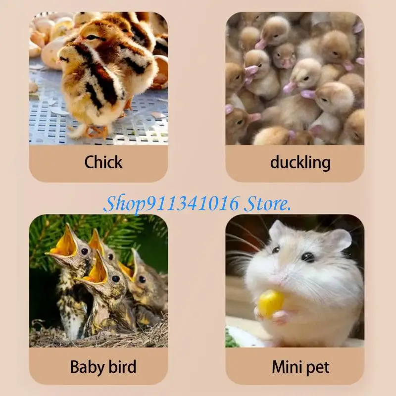 4X7B Safe and Reliable Chicken Coops Heater for Small Poultry Farm Pet Store Brooder
4X7B Safe and Reliable Chicken Coops Heater for Small Poultry Farm Pet Store Brooder