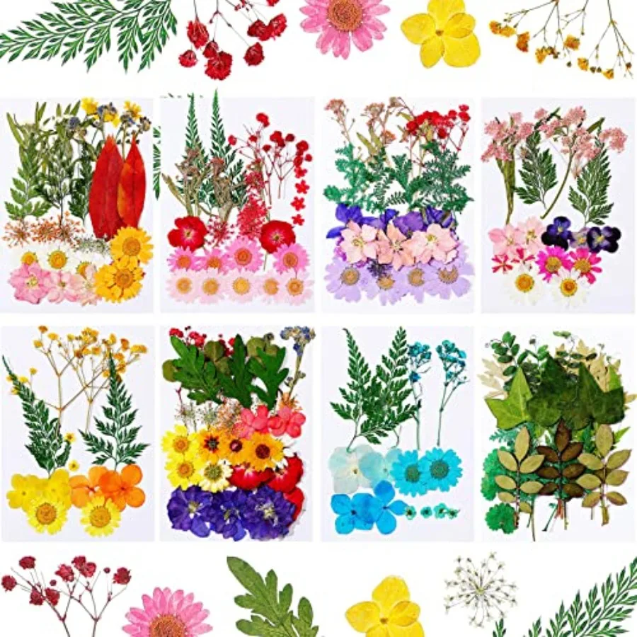 200 Pcs Dried Pressed Flowers for Resin Natural Real Pressed Flowers Leaves Bulk for Crafts DIY Art Jewelry Making Floral Decor
200 Pcs Dried Pressed Flowers for Resin Natural Real Pressed Flowers Leaves Bulk for Crafts DIY Art Jewelry Making Floral Decor