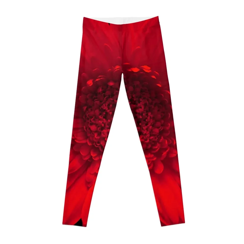 Red Daisy Flower Leggings sports for gym pants gym wear legging push up Womens Leggings
Red Daisy Flower Leggings sports for gym pants gym wear legging push up Womens Leggings
