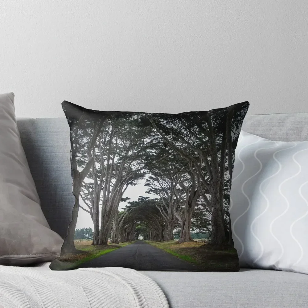 Cypress Tree Tunnel - Point Reyes, CA Throw Pillow ornamental pillows anime girl pillow
Cypress Tree Tunnel - Point Reyes, CA Throw Pillow ornamental pillows anime girl pillow