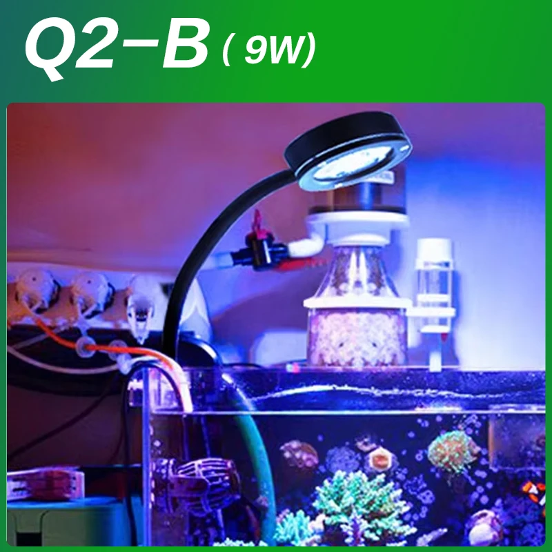 Marine Aquarium LED Light For 30~50CM Marine Reef Tank For Coral LPS 100~240V
Marine Aquarium LED Light For 30~50CM Marine Reef Tank For Coral LPS 100~240V