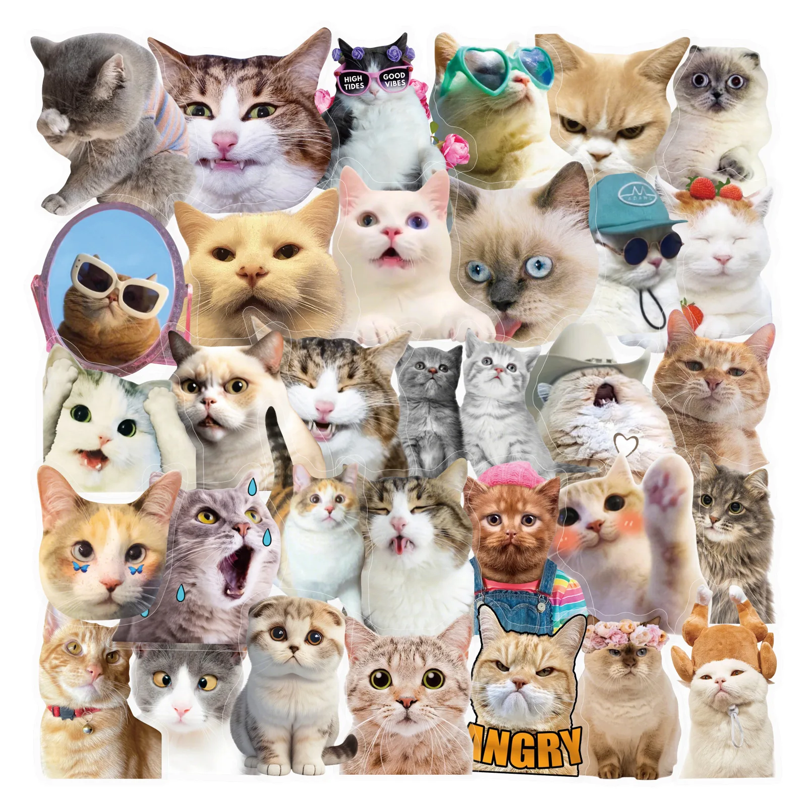 50PCS Transparent Cute Cat MEME Stickers PET Can Decorate Mobile Phone Case Luggage Water Cup Waterproof Stickers Kids Toy
50PCS Transparent Cute Cat MEME Stickers PET Can Decorate Mobile Phone Case Luggage Water Cup Waterproof Stickers Kids Toy