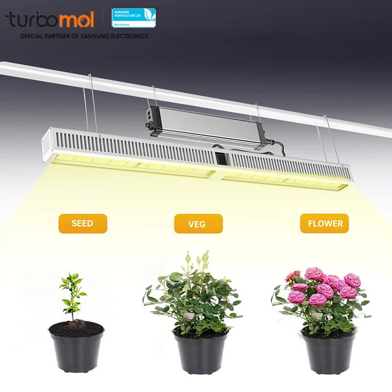 Top Lighting 600w Grow Lights Led Full Spectrum Commercial Hydroponics System Grow Light for Garden Greenhouses Horticulture
Top Lighting 600w Grow Lights Led Full Spectrum Commercial Hydroponics System Grow Light for Garden Greenhouses Horticulture