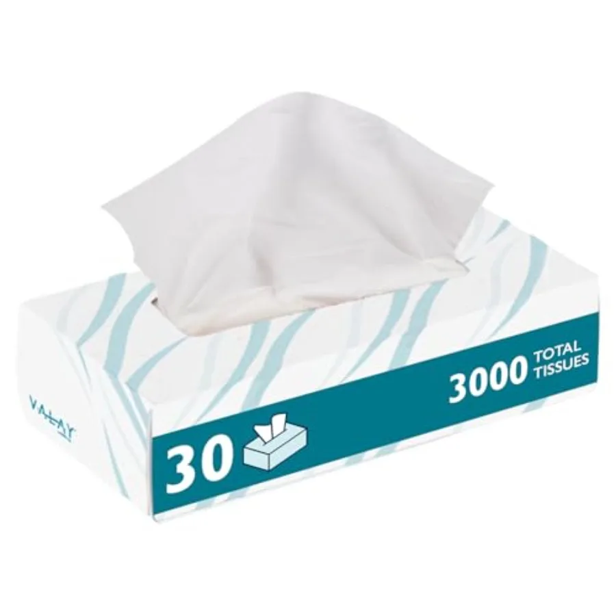 Morcon Valay Facial Tissue Paper Soft Absorbent Hand and Face Wipes Premium Facial Tissues Boxes for Personal Care 30 Pack of W
Morcon Valay Facial Tissue Paper Soft Absorbent Hand and Face Wipes Premium Facial Tissues Boxes for Personal Care 30 Pack of W