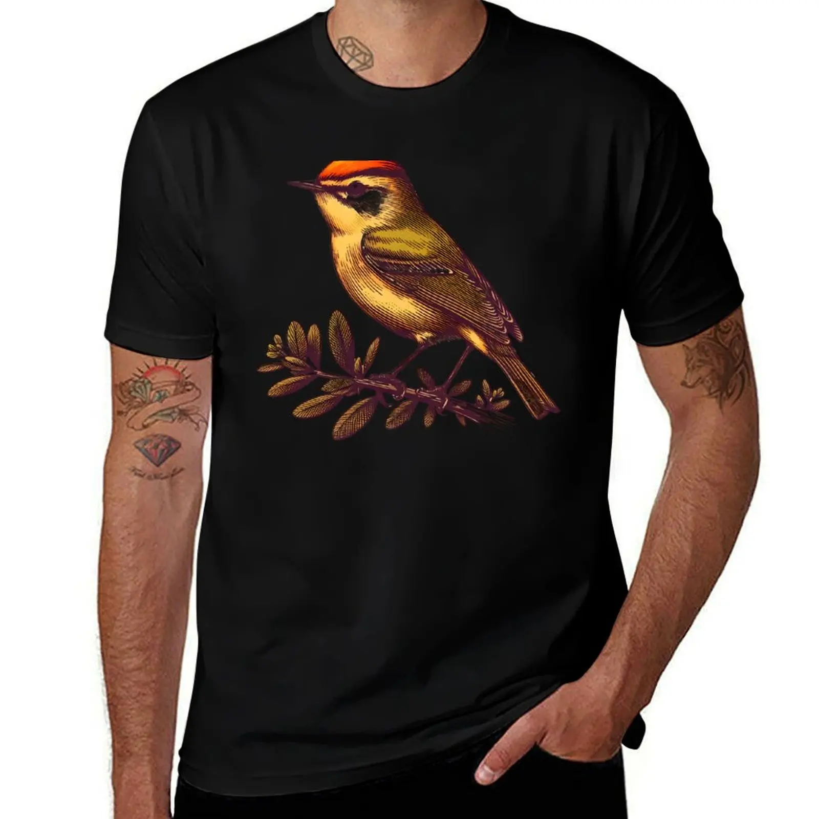 Palm Warbler 6 T-Shirt vintage t shirts designer shirts anime figures men workout shirt
Palm Warbler 6 T-Shirt vintage t shirts designer shirts anime figures men workout shirt