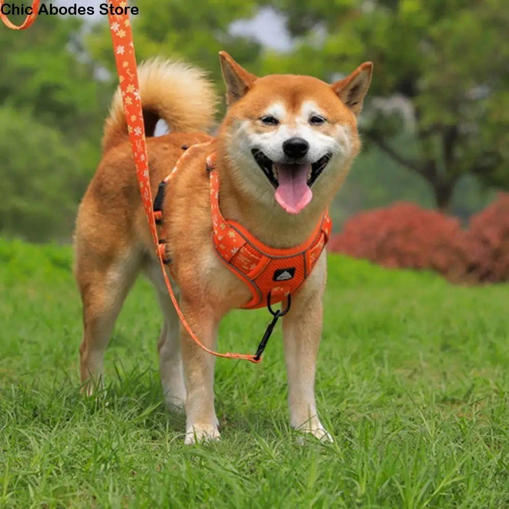 Reflective Dogs Harness Leash Set Adjustable Breathable Cat Harnesses Floral Design Anti Escape Puppy Chest Strap
Reflective Dogs Harness Leash Set Adjustable Breathable Cat Harnesses Floral Design Anti Escape Puppy Chest Strap