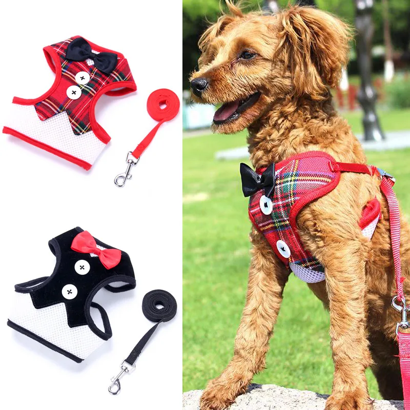 Elegant Pet Harness Vest Bow Dog Collars With Traction Rope For Small Medium Dogs Cat Chest Strap Dog Accessories Gifts
Elegant Pet Harness Vest Bow Dog Collars With Traction Rope For Small Medium Dogs Cat Chest Strap Dog Accessories Gifts