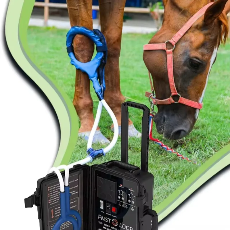 Horse Magnetic Therapy Professional Body Pain Relief Physiotherapy Pemf Pulsed Electro-magnetic Fields Pmst Loop
Horse Magnetic Therapy Professional Body Pain Relief Physiotherapy Pemf Pulsed Electro-magnetic Fields Pmst Loop