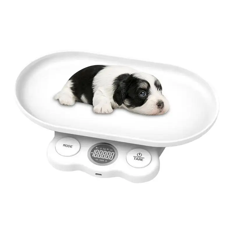 Pet Scales For Cats Electronic Kitten Scale 15kg Multi-purpose Pet Supply High Precision Small Animal Weighing For Home Hospital
Pet Scales For Cats Electronic Kitten Scale 15kg Multi-purpose Pet Supply High Precision Small Animal Weighing For Home Hospital