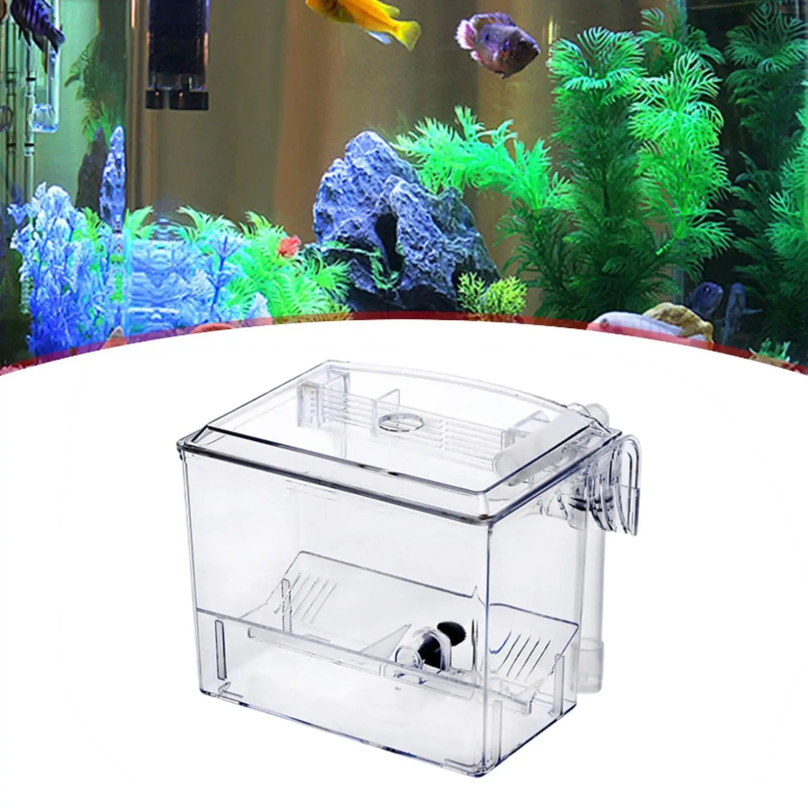 Fish Breeding Box Hatchery Container Transparent Multipurpose Square Small Fish Hatchery Separation for Aquarium Accessories
Fish Breeding Box Hatchery Container Transparent Multipurpose Square Small Fish Hatchery Separation for Aquarium Accessories