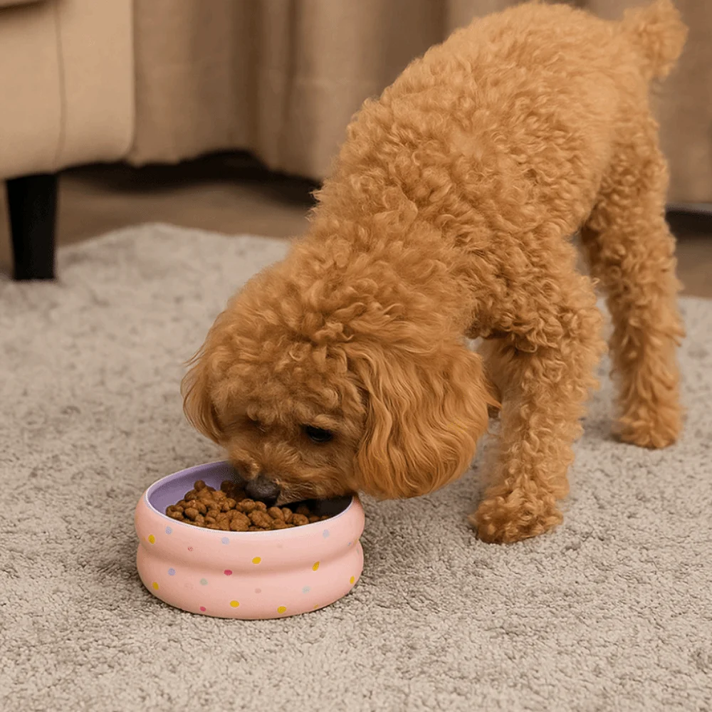 Cute Wide Mouth Ceramic Cat Bowl Donut Shape Heavy Base Pet Food Bowl Cartoon Anti-Tip Dog Food Bowl for Puppy Cats
Cute Wide Mouth Ceramic Cat Bowl Donut Shape Heavy Base Pet Food Bowl Cartoon Anti-Tip Dog Food Bowl for Puppy Cats