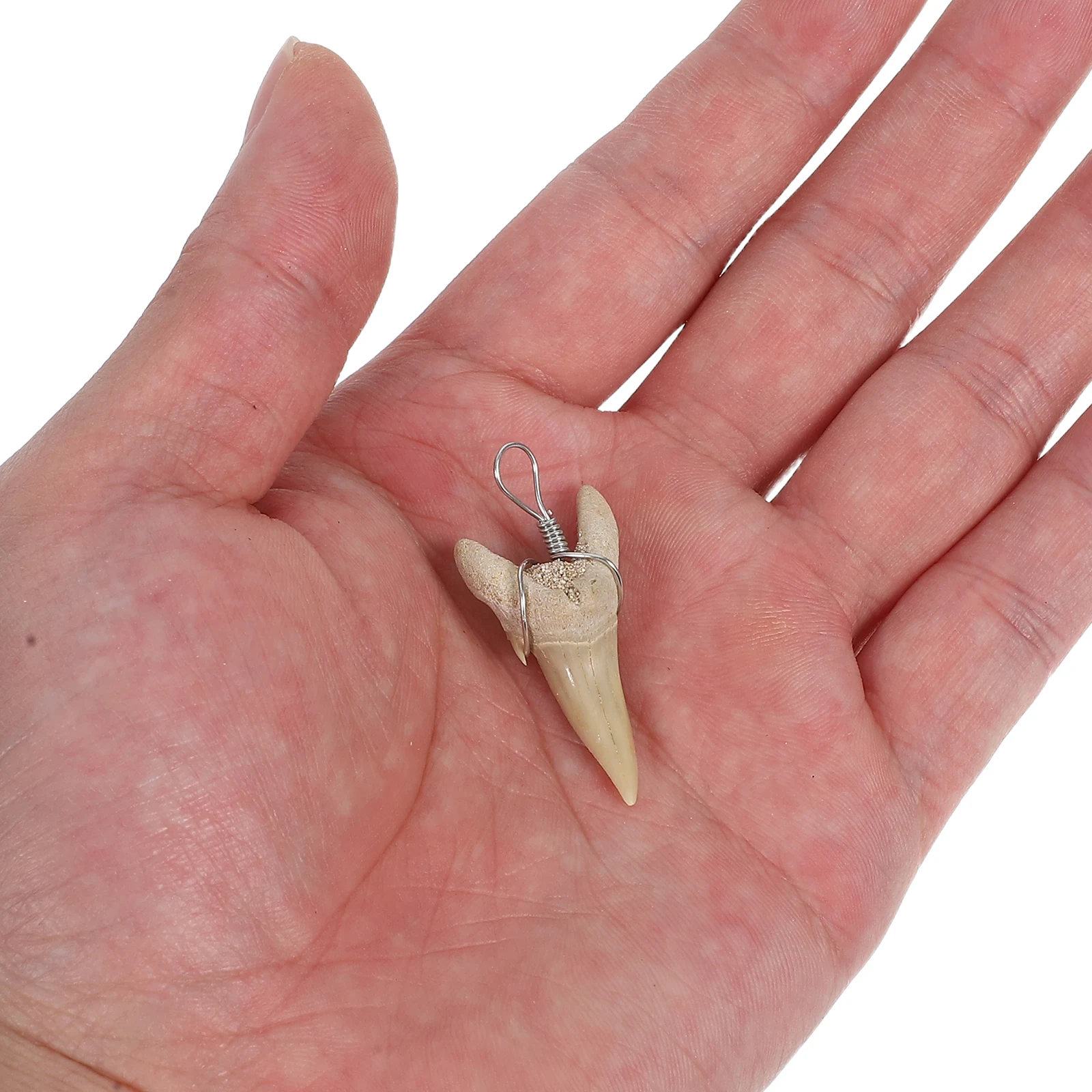 2pcs Pendant Crafts Charms Jewelry Making Small Teeth Ornament Necklace Accessories Outdoor Keepsake
2pcs Pendant Crafts Charms Jewelry Making Small Teeth Ornament Necklace Accessories Outdoor Keepsake