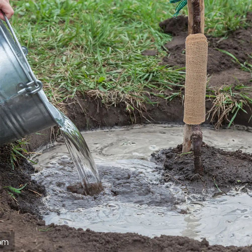 2 Rolls Thick Durable Tree Wrap Protector Garden Plant Linen Cold Weather Wind-Proof Sun-Blocking Trunk Cover For 
2 Rolls Thick Durable Tree Wrap Protector Garden Plant Linen Cold Weather Wind-Proof Sun-Blocking Trunk Cover For