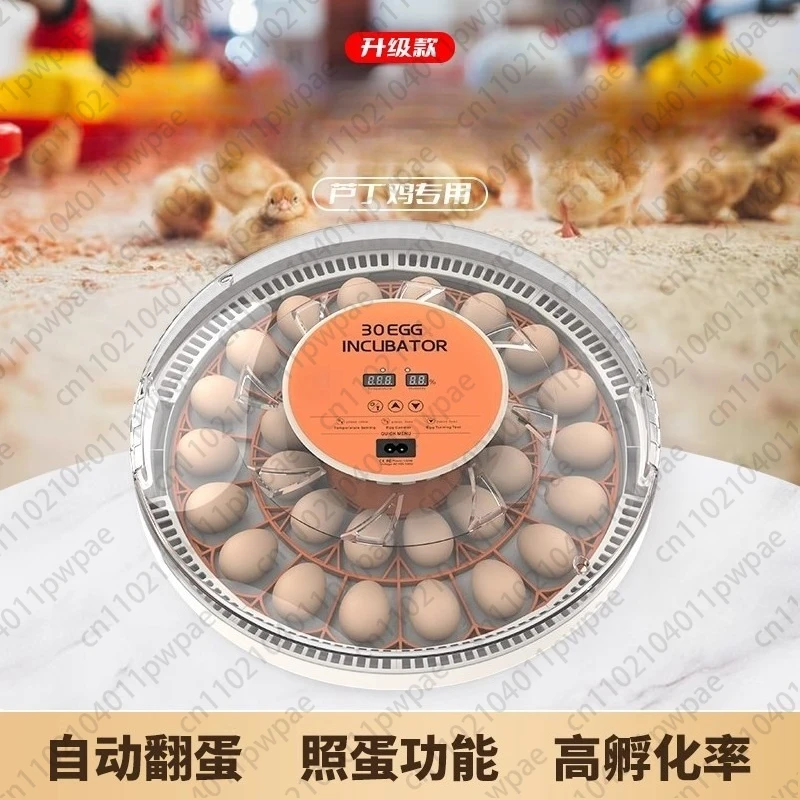 Mini Incubator Bird Egg Small Incubator, Household Type Automatic Constant-temperature Hatching 4 Eggs
Mini Incubator Bird Egg Small Incubator, Household Type Automatic Constant-temperature Hatching 4 Eggs