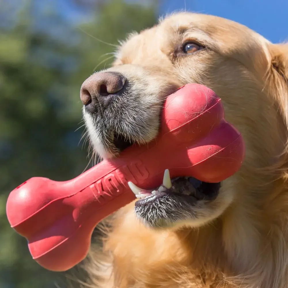 Large Dog Toy KONG - Extreme Goodie Bone Durable Rubber Dog Bone for Power Chewers Items Soccer Red Black Slow Feeder Toy
Large Dog Toy KONG - Extreme Goodie Bone Durable Rubber Dog Bone for Power Chewers Items Soccer Red Black Slow Feeder Toy