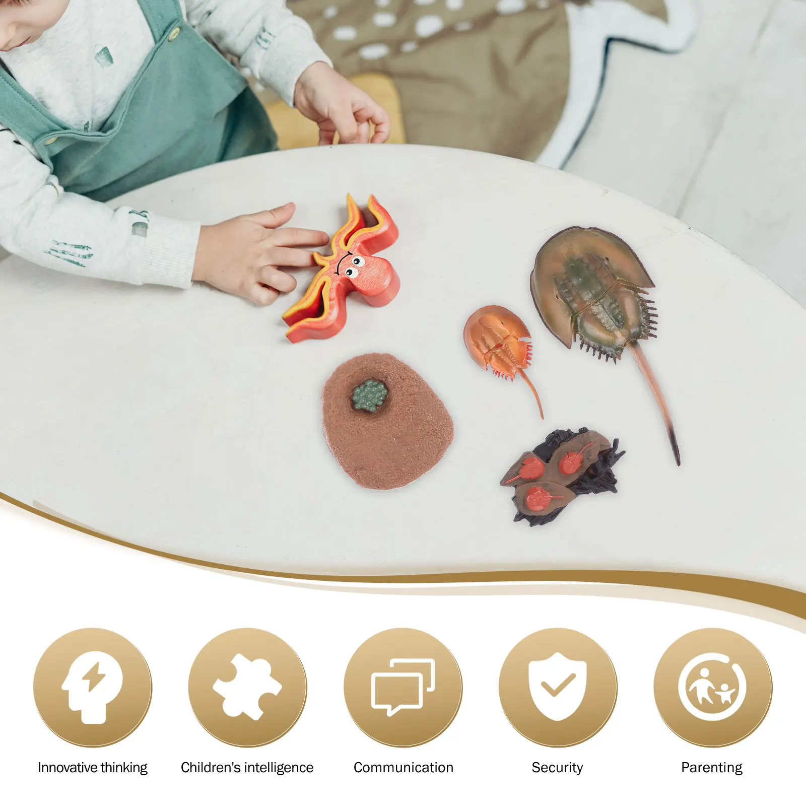 Horseshoe Crab Growth Cycle Model Kids Toy Plastic Craft Educational Tool Simulation Realistic Design Child
Horseshoe Crab Growth Cycle Model Kids Toy Plastic Craft Educational Tool Simulation Realistic Design Child