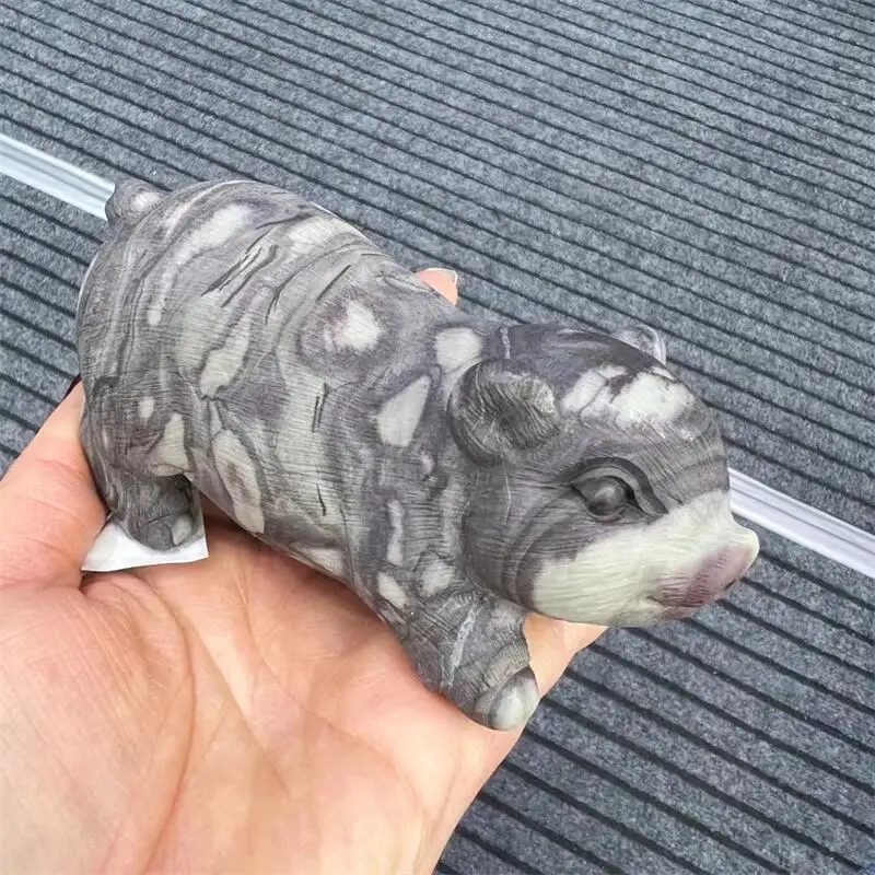Natural Colorful Stone Variegation Pig Crystal Animal Carving Cute Healing Healthy Children Home Decoration Ornaments Gift 1pcs
Natural Colorful Stone Variegation Pig Crystal Animal Carving Cute Healing Healthy Children Home Decoration Ornaments Gift 1pcs