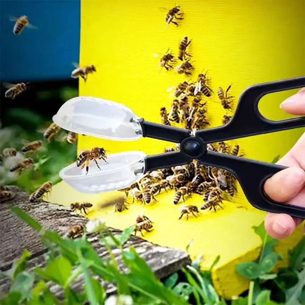 Multifunctional Queen Bee Cage Convenient Transparent Insect Clip Plastic with Ventilation Holes Insect Traps Pet Supplies
Multifunctional Queen Bee Cage Convenient Transparent Insect Clip Plastic with Ventilation Holes Insect Traps Pet Supplies