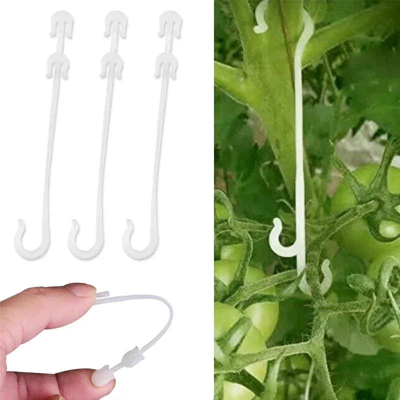 50pcs J Shaped Fruit Cherry Tomato Ear Hook Garden Vegetable Plant Grape Support Vines Fastener Clips Trellis Fixed Hook
50pcs J Shaped Fruit Cherry Tomato Ear Hook Garden Vegetable Plant Grape Support Vines Fastener Clips Trellis Fixed Hook