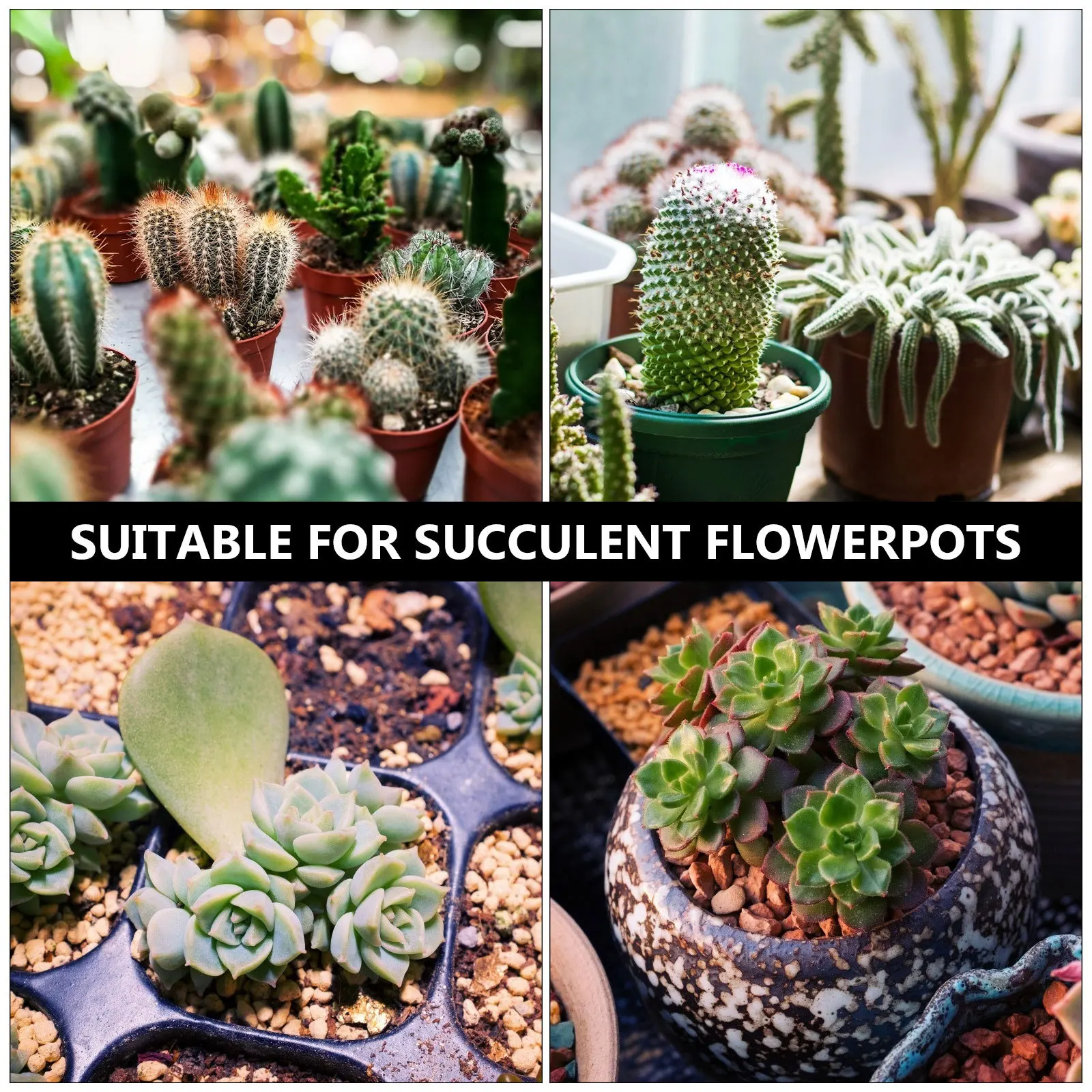 6Pcs Plastic Flower Pot Trays Thickened PP Material Plant Pot Bottom Pads for Indoor Outdoor Succulent Bonsai Gardening
6Pcs Plastic Flower Pot Trays Thickened PP Material Plant Pot Bottom Pads for Indoor Outdoor Succulent Bonsai Gardening