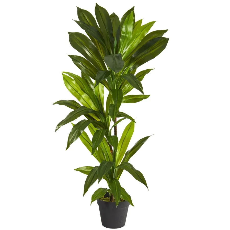 Green 3' Dracaena Artificial Plant Real Touch
Green 3' Dracaena Artificial Plant Real Touch