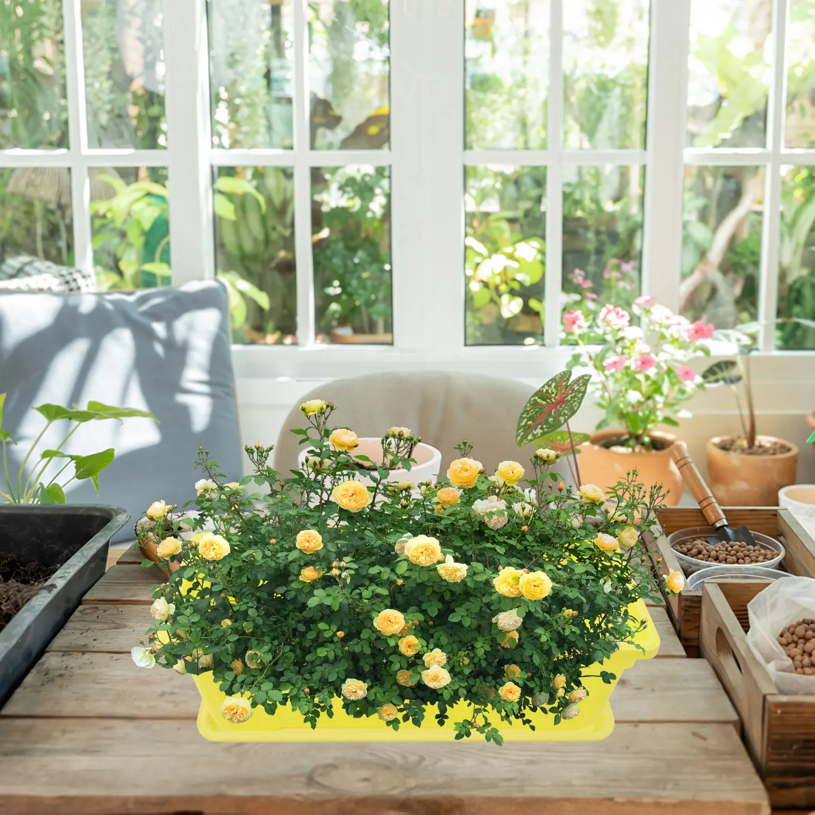 2 Sets Rectangular Flower Pot Planting Container Vegetable Growing Planter Large Succulent Planter Box For Garden Patio Porch
2 Sets Rectangular Flower Pot Planting Container Vegetable Growing Planter Large Succulent Planter Box For Garden Patio Porch