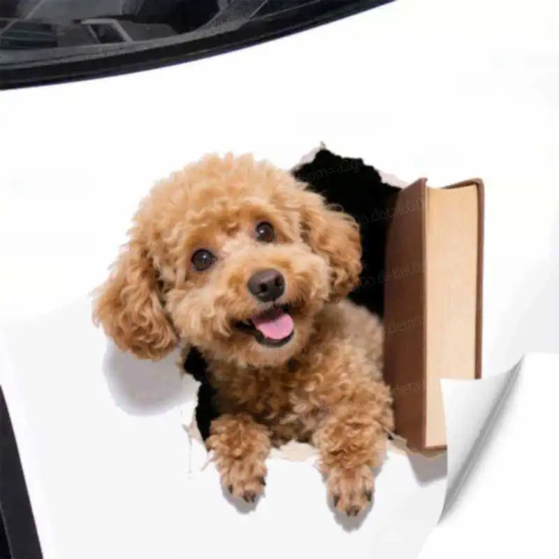 Cute Puppy Car Stickers Decals for Laptops Windows Doors Cars Wall Home Decorations HE418
Cute Puppy Car Stickers Decals for Laptops Windows Doors Cars Wall Home Decorations HE418