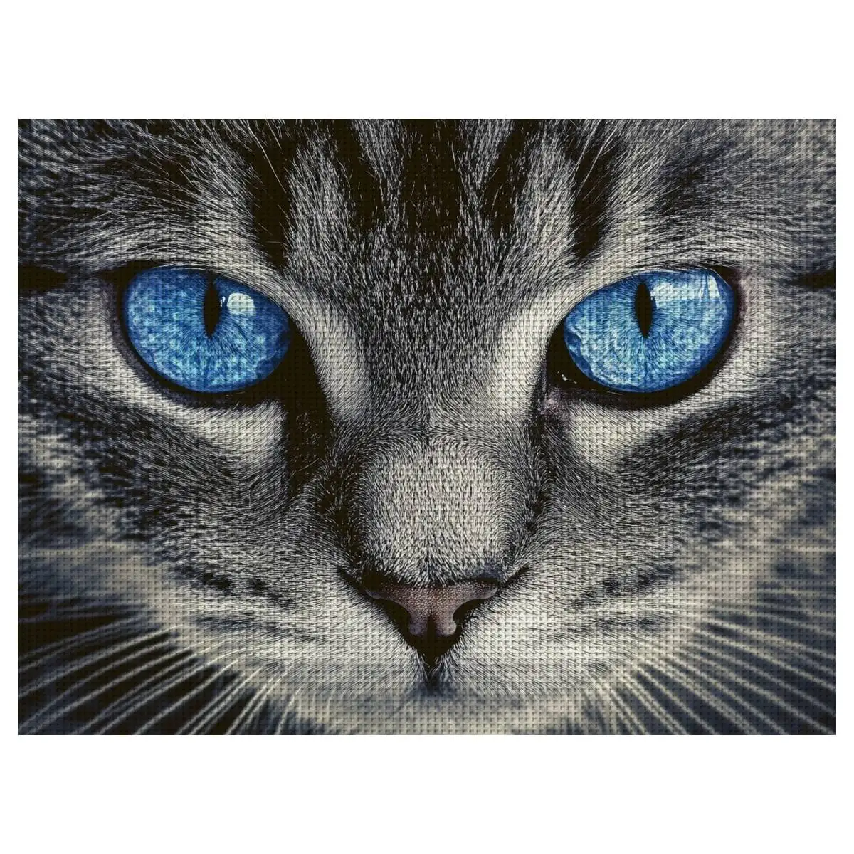 1pc 30X40CM/11.8*15.74inch Cat stamped cross stitch kit DIY kit 11CT/14CT DIY Embroidered set DIY Cross-Stitch Set
1pc 30X40CM/11.8*15.74inch Cat stamped cross stitch kit DIY kit 11CT/14CT DIY Embroidered set DIY Cross-Stitch Set