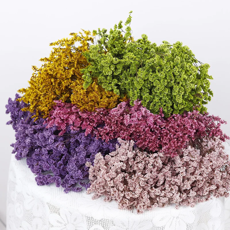 One Bunch Dry Statice Flower DIY Home Decoration Long Lasting Preserved Flowers for Graduation Teacher's Day Birthday Gift
One Bunch Dry Statice Flower DIY Home Decoration Long Lasting Preserved Flowers for Graduation Teacher's Day Birthday Gift