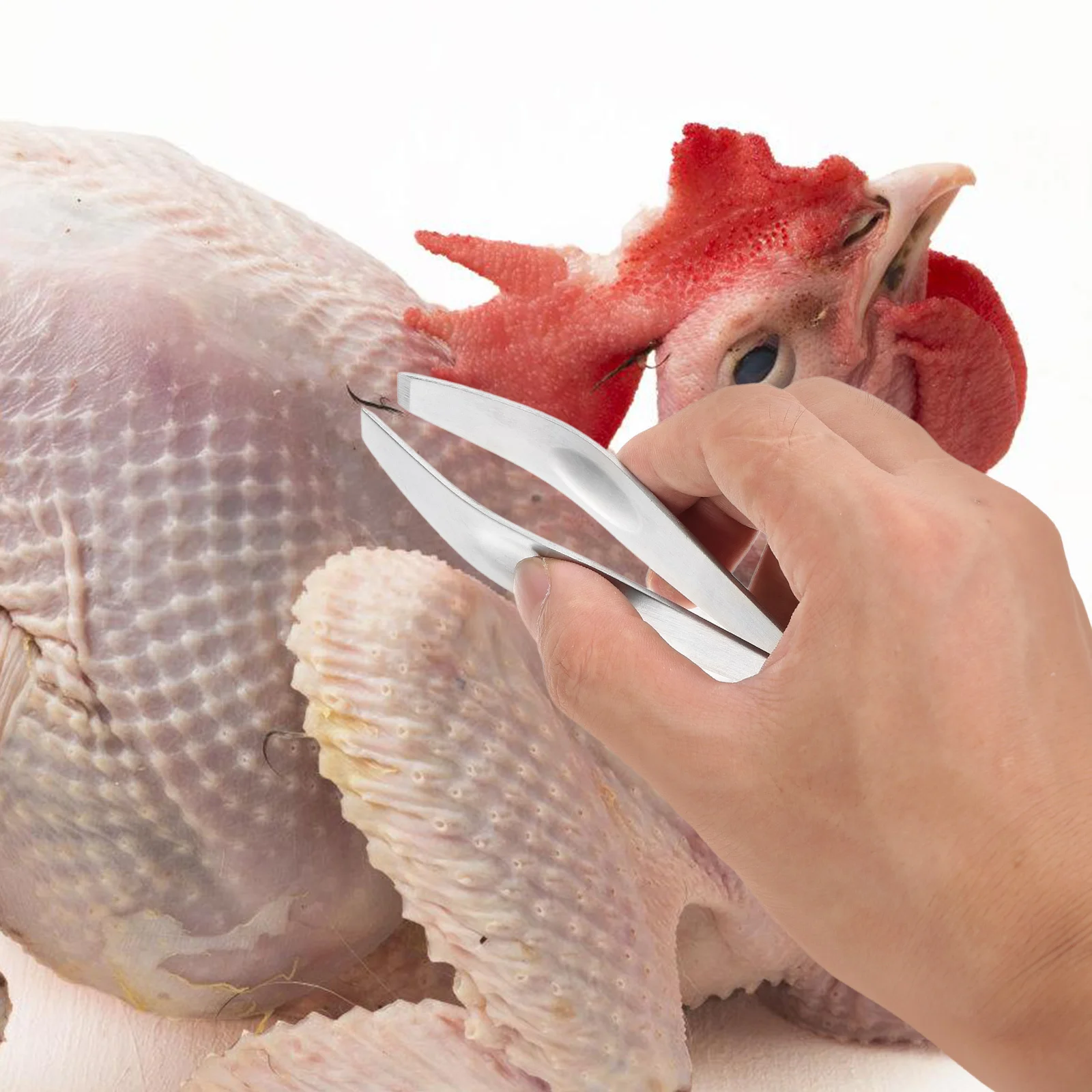 2pcs Fish Tweezer Stainless Steel Hair Puller Kitchen Supply For Chicken Pig Pluck Cooking Kitchen Gadget
2pcs Fish Tweezer Stainless Steel Hair Puller Kitchen Supply For Chicken Pig Pluck Cooking Kitchen Gadget