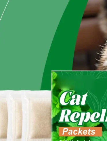 Cat And Kitten Training Aid 10 Pieces Effective Behavior Training Aid Outdoor Indoor Bags for Kittens Indoor Home Plants Outdoor
Cat And Kitten Training Aid 10 Pieces Effective Behavior Training Aid Outdoor Indoor Bags for Kittens Indoor Home Plants Outdoor