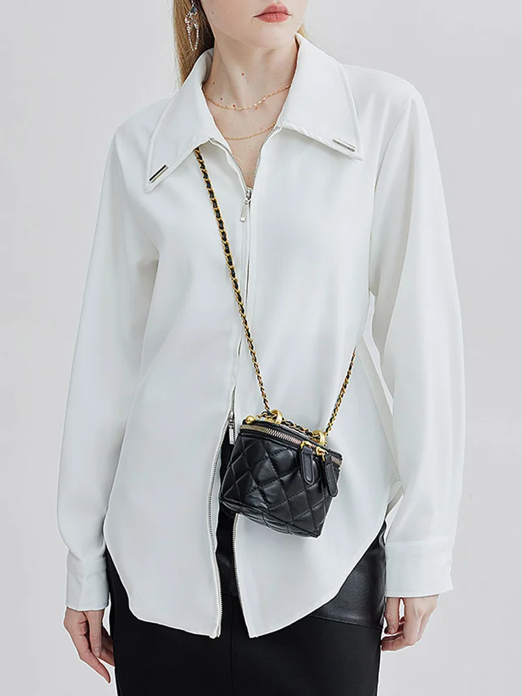 Women White Zipper Pleated Temperament Blouse New Lapel Long Sleeve Loose Fit Shirt Fashion Spring Autumn 2023 M854
Women White Zipper Pleated Temperament Blouse New Lapel Long Sleeve Loose Fit Shirt Fashion Spring Autumn 2023 M854