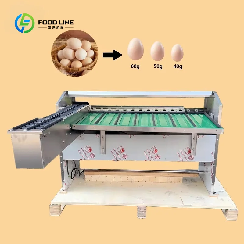 Customized Egg-grader-machine Automatic Egg Grader and Packer Egg Grading Machine Sorting Machine for Egg Processing Factory
Customized Egg-grader-machine Automatic Egg Grader and Packer Egg Grading Machine Sorting Machine for Egg Processing Factory