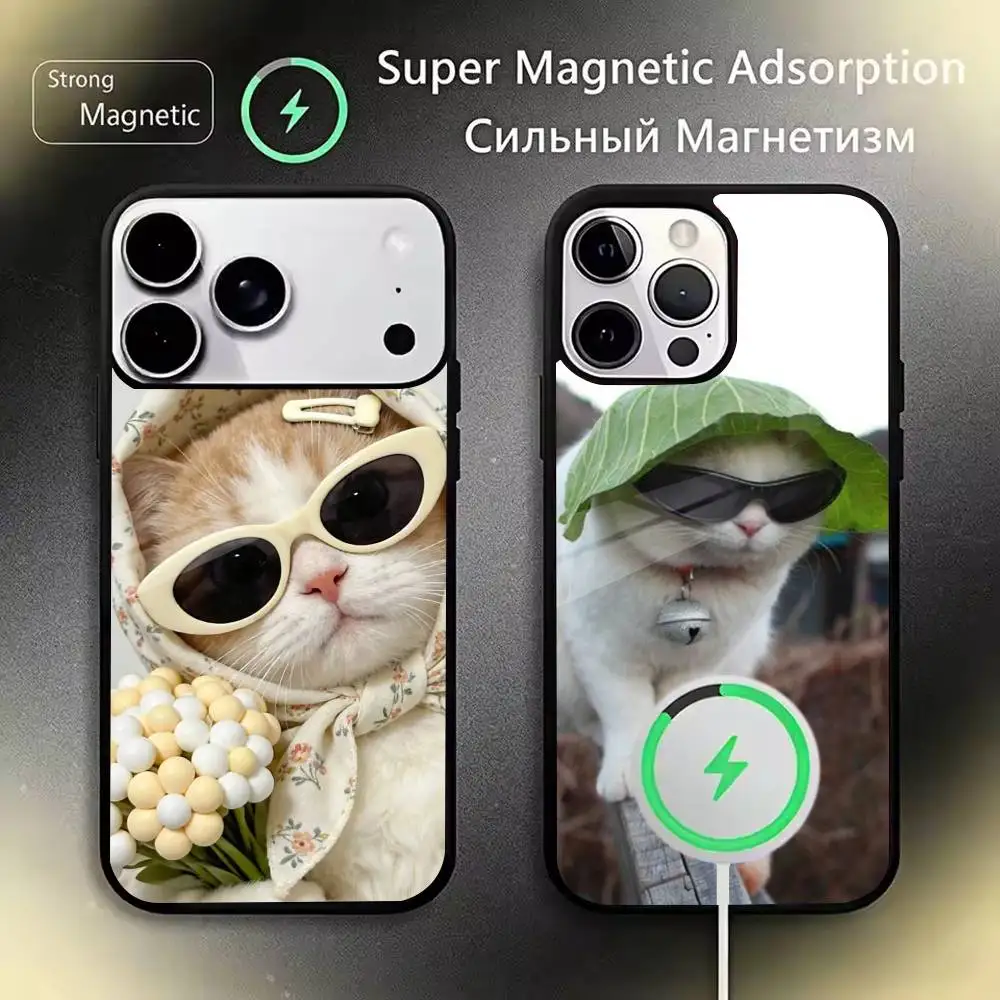 cute-warm-cat Phone Case For iPhone17,16,15,14,13,12,11 Plus,Pro,Max Magnetic with Wireless Charging
cute-warm-cat Phone Case For iPhone17,16,15,14,13,12,11 Plus,Pro,Max Magnetic with Wireless Charging