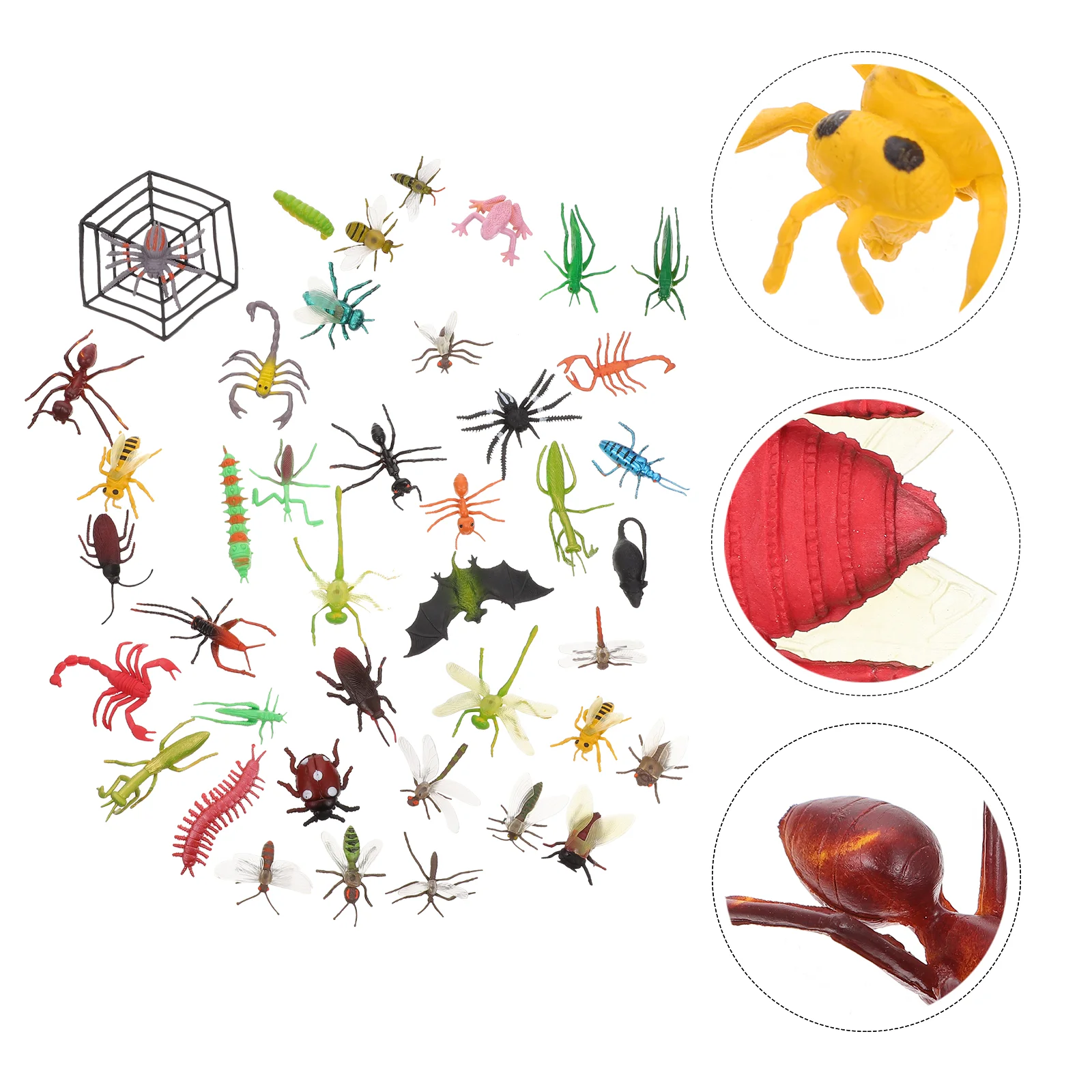 Simulated Animals Fake Insect Mini Model Educational Science Models Figures Insects
Simulated Animals Fake Insect Mini Model Educational Science Models Figures Insects