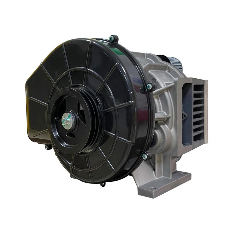Small Air Compressor Airend Silent Oil-free Scroll Air Compressor Pump Screw Head