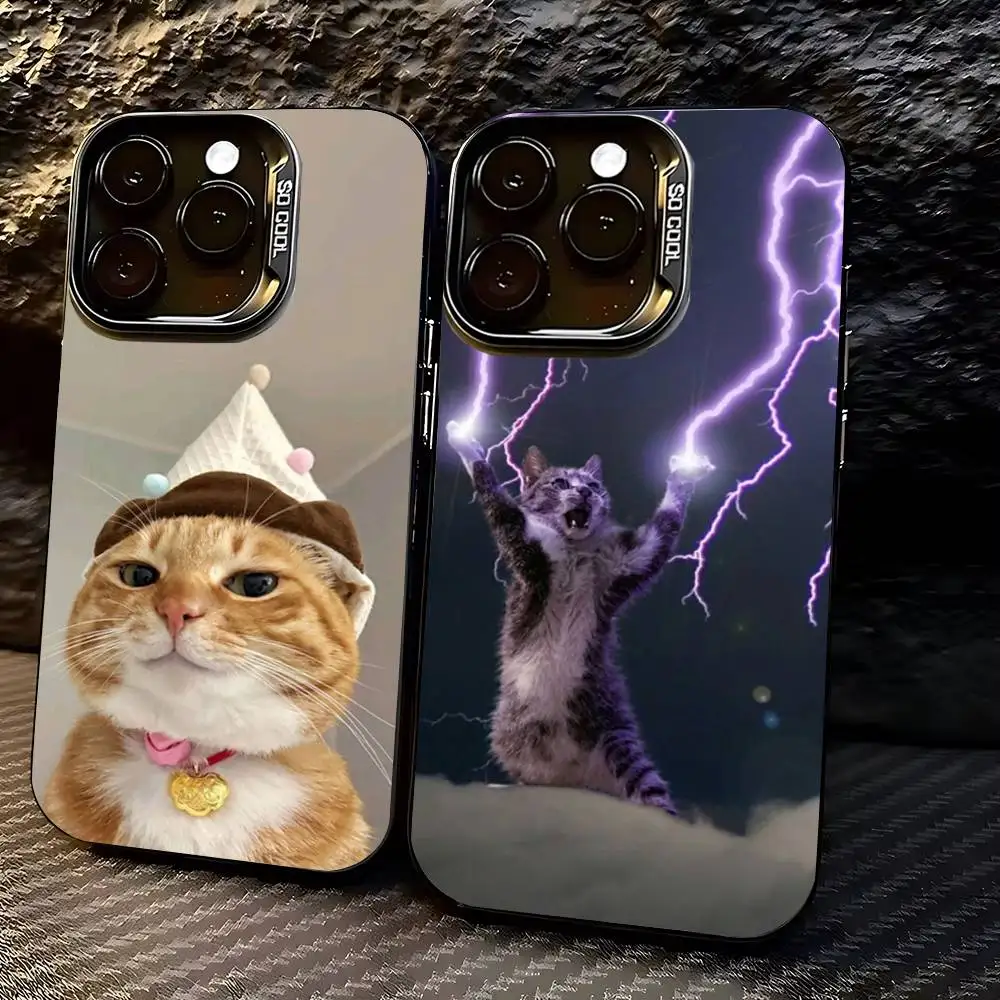 Funny Cute Cat Phone Case For iPhone 17,16,15,14,13,12,11,Pro,Max,Plus Soft Black Cover
Funny Cute Cat Phone Case For iPhone 17,16,15,14,13,12,11,Pro,Max,Plus Soft Black Cover