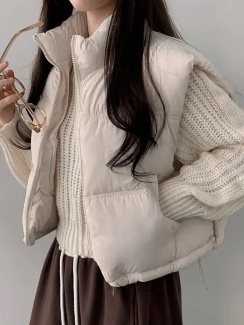 Шикарный осенне-зимний хлопковый жилет на молнии с воротником-стойкой, женский модный жилет ярких цветов, маленький размер, модное пальто ort Sle
Шикарный осенне-зимний хлопковый жилет на молнии с воротником-стойкой, женский модный жилет ярких цветов, маленький размер, модное пальто ort Sle