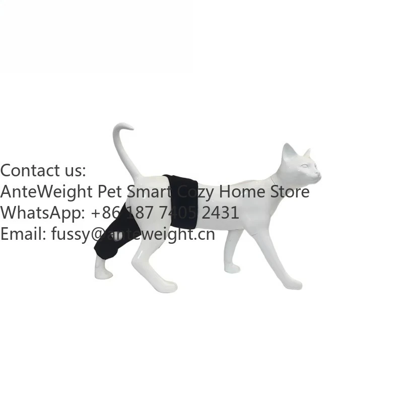 Cats Leg Light Therapy Wrap Chargeable Therapy Pad for Skin Treatment Blood Circulation Professional Recovery Suit for Cats
Cats Leg Light Therapy Wrap Chargeable Therapy Pad for Skin Treatment Blood Circulation Professional Recovery Suit for Cats