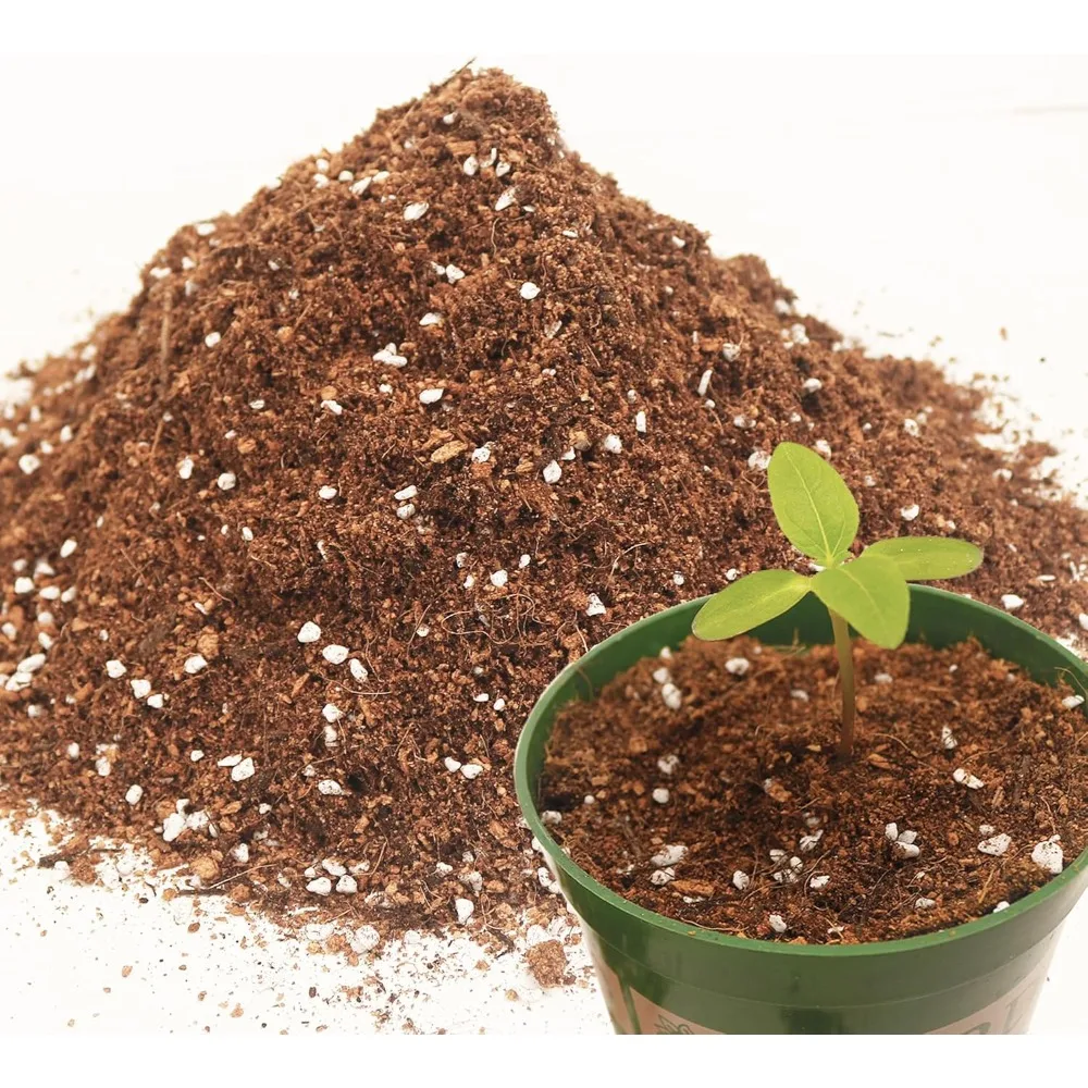 3QT Potting Soil Mix for Indoor Plants - Contains Perlite, Peat Moss, Coco Coir & Rice Charcoal, Natural & Organic Material with Well-Draining, Light & Aerated Texture for Healthy Roots & Fast Growth
3QT Potting Soil Mix for Indoor Plants - Contains Perlite, Peat Moss, Coco Coir & Rice Charcoal, Natural & Organic Material with Well-Draining, Light & Aerated Texture for Healthy Roots & Fast Growth